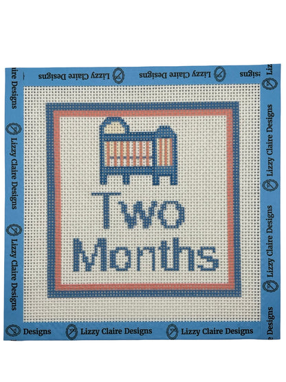 Baby Milestone 12-Months - 13 mesh - 7 x 7 - Needlepoint Canvases