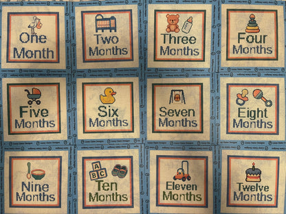 Baby Milestone 12-Months - 13 mesh - 7 x 7 - Needlepoint Canvases