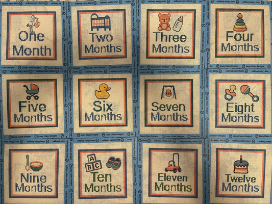 Baby Milestone 12-Months - 13 mesh - 7 x 7 - Needlepoint Canvases