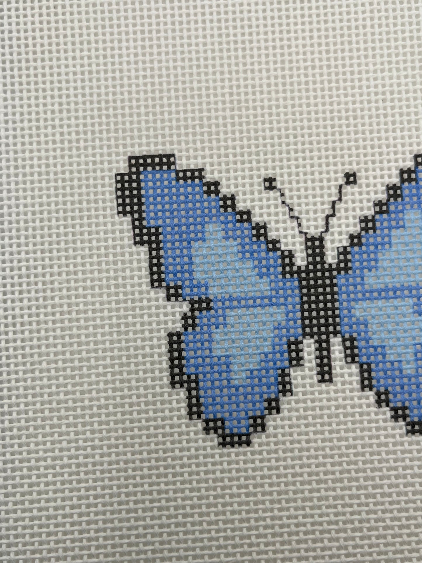 Blue Butterfly - 13 mesh - 8 x 8 - Needlepoint Canvas