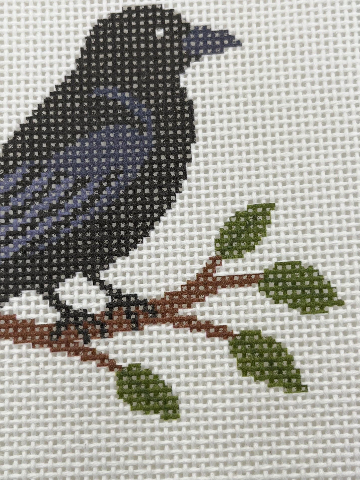 Crow on a Branch- 13 mesh - 7 x 7 - Needlepoint Canvas
