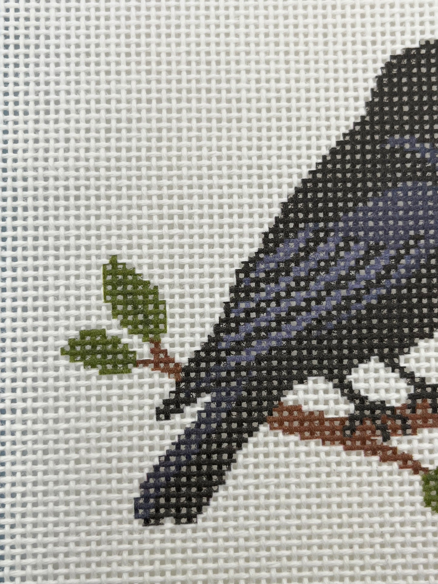 Crow on a Branch- 13 mesh - 7 x 7 - Needlepoint Canvas