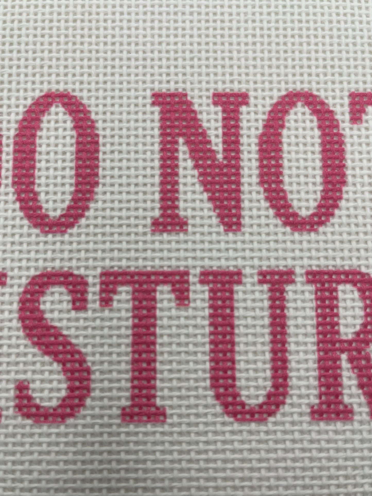 Do Not Distrub - 13 mesh - 9 x 7- Needlepoint Canvas