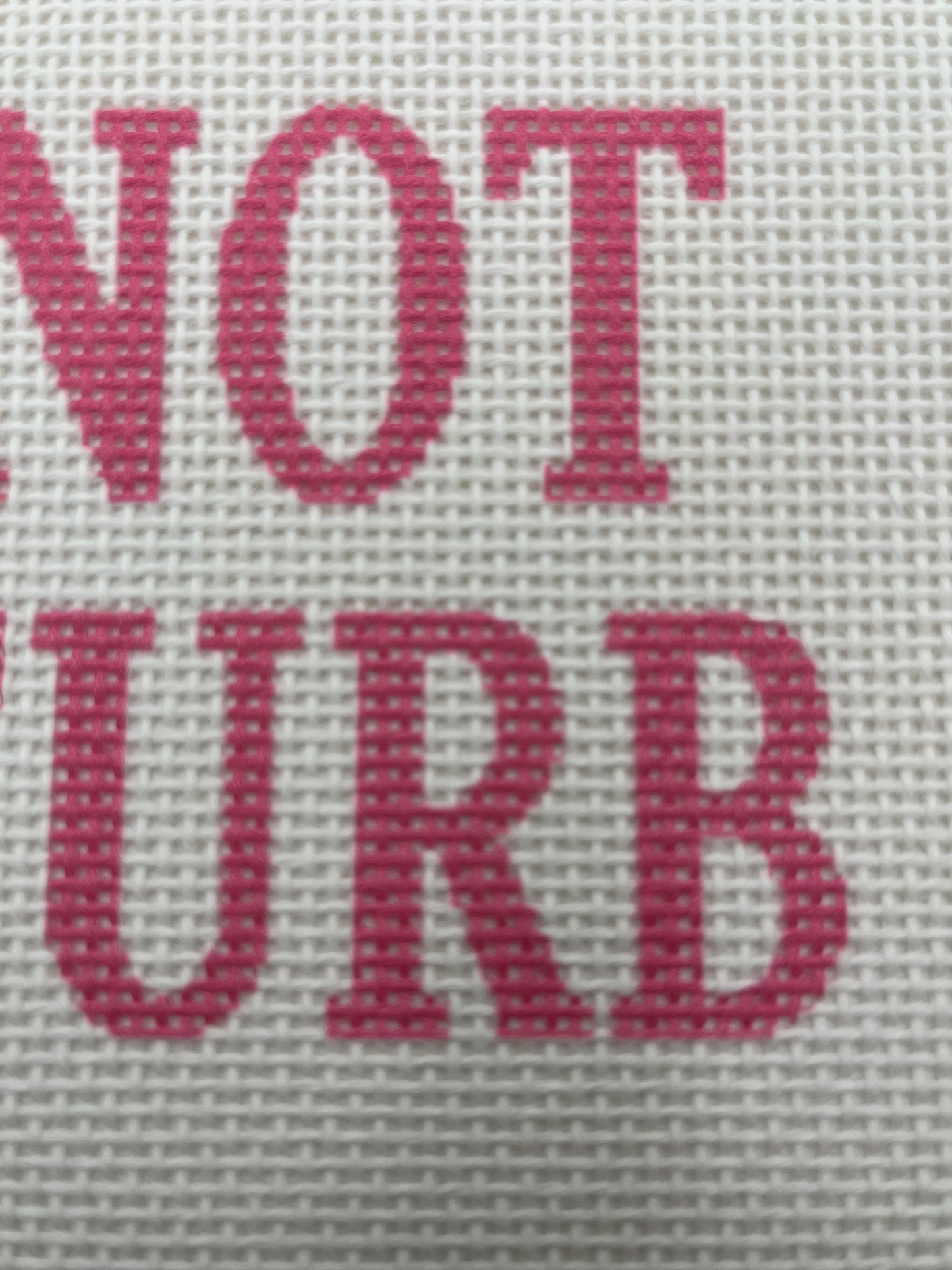 Do Not Distrub - 13 mesh - 9 x 7- Needlepoint Canvas