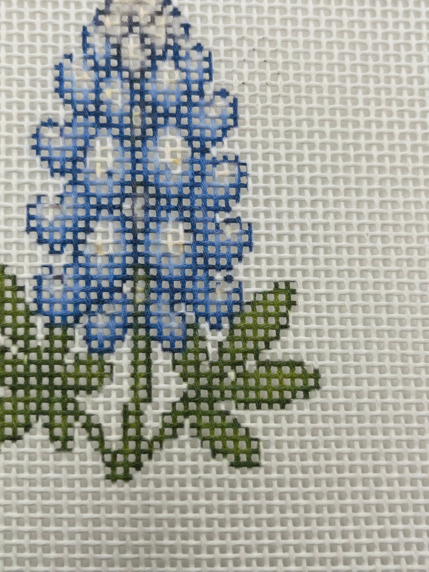 Lone Star Bluebonnet - 13 mesh - 7 x 7 - Needlepoint Canvas