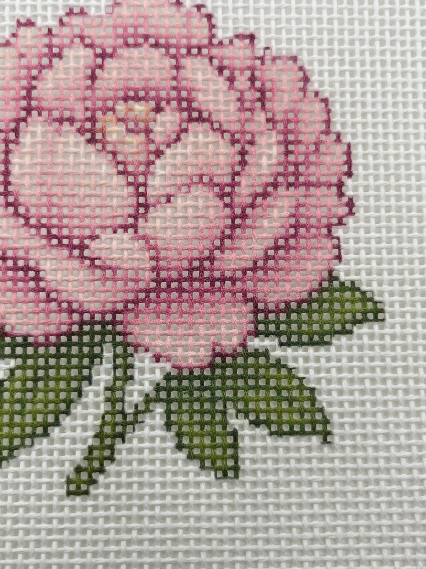 Peony in Bloom - 13 mesh - 7 x 7 - Needlepoint Canvas