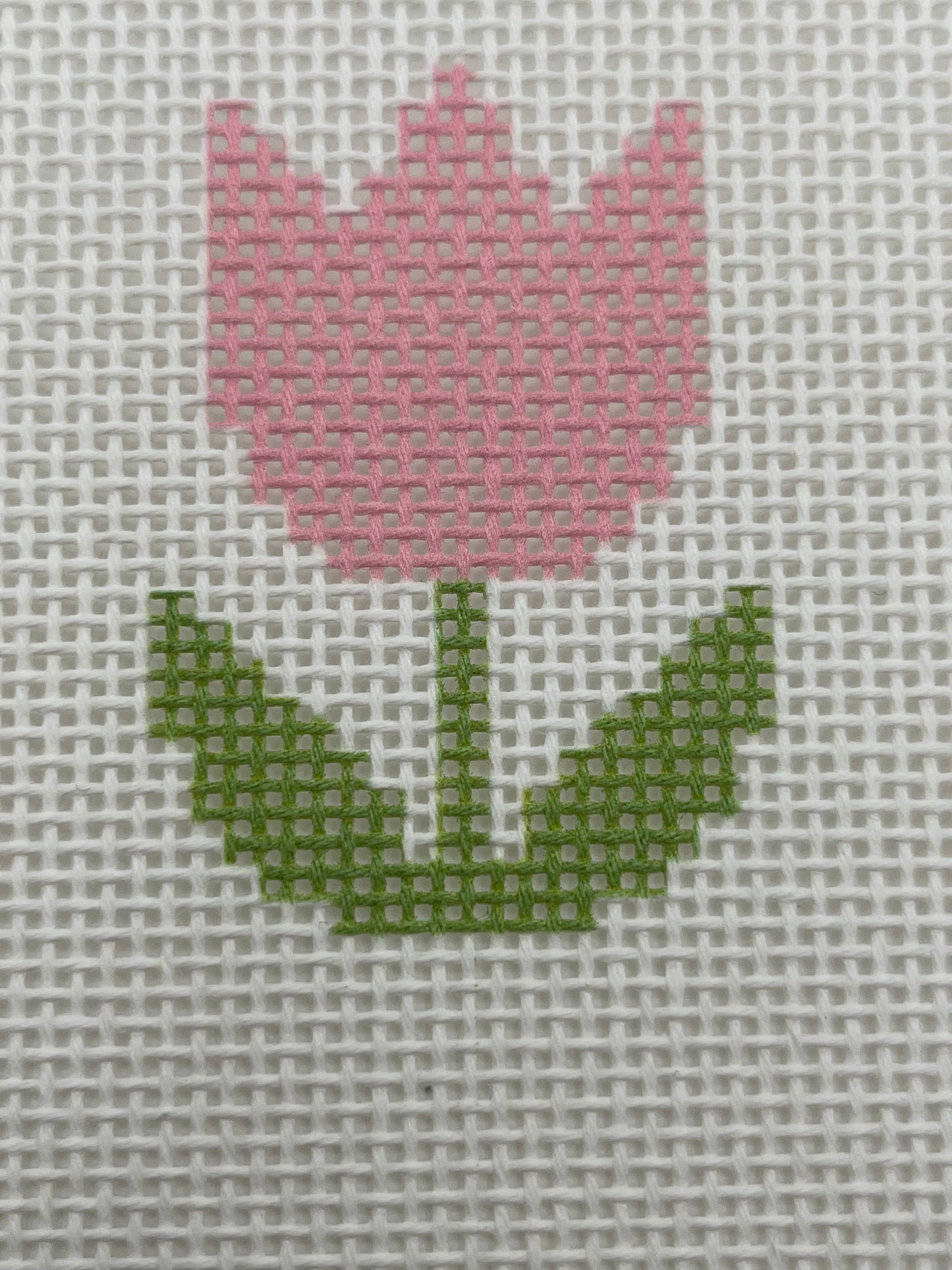 Pink Tulip- Beginner Kit - 13 mesh - 6 x 6 - Needlepoint Canvas