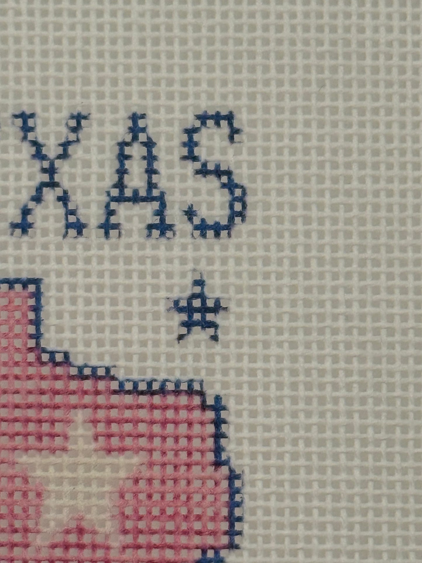 Texas - Luggage Tag Sized - 18 Mesh - 6 x 6 - Needlepoint Canvas