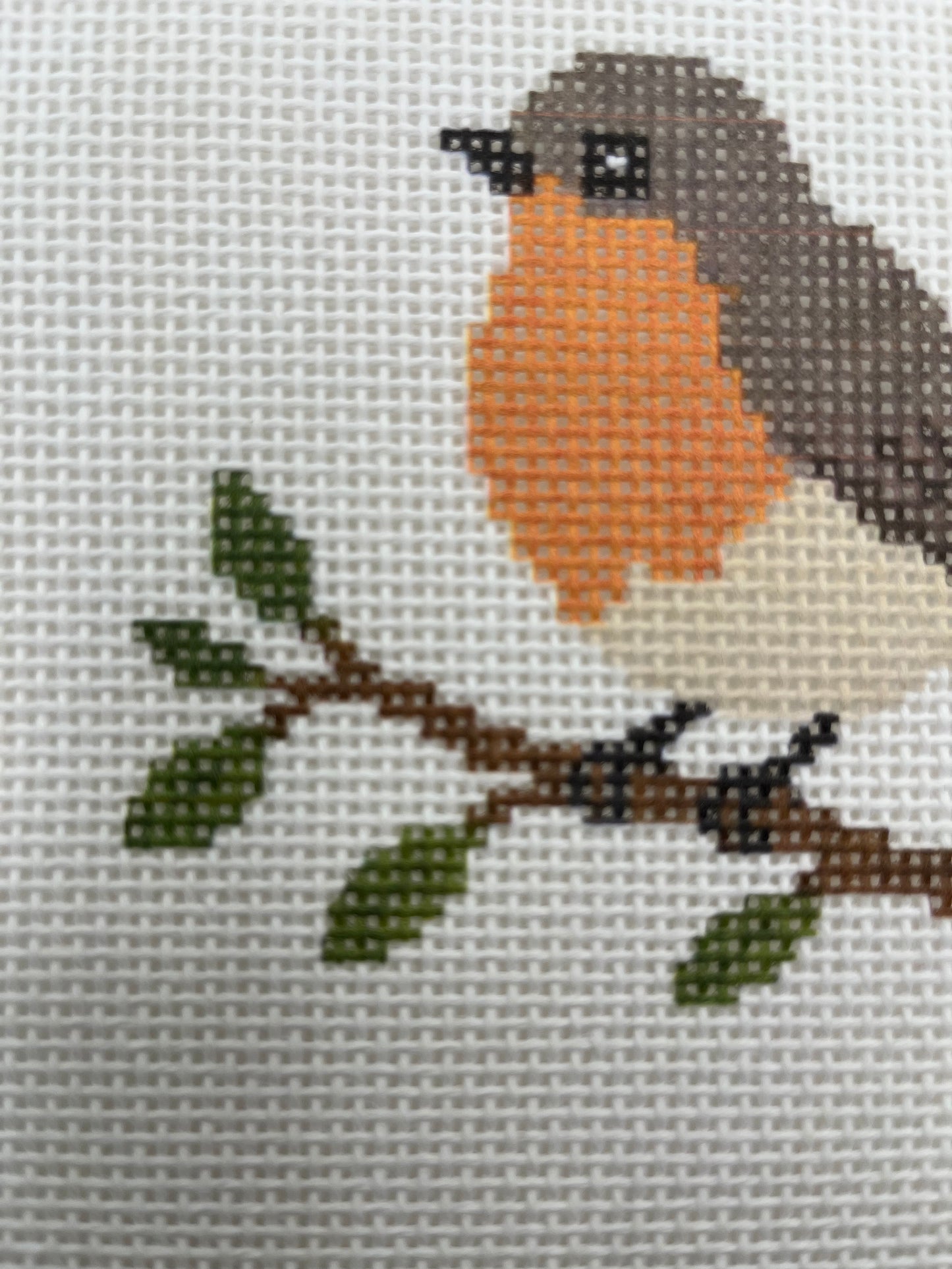 Sweet Robin - 13 mesh - 7 x 7 - Needlepoint Canvas
