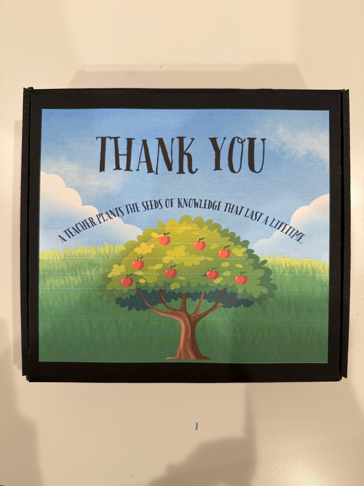 Teacher Appreciation Needlepoint Canvas Kit Box