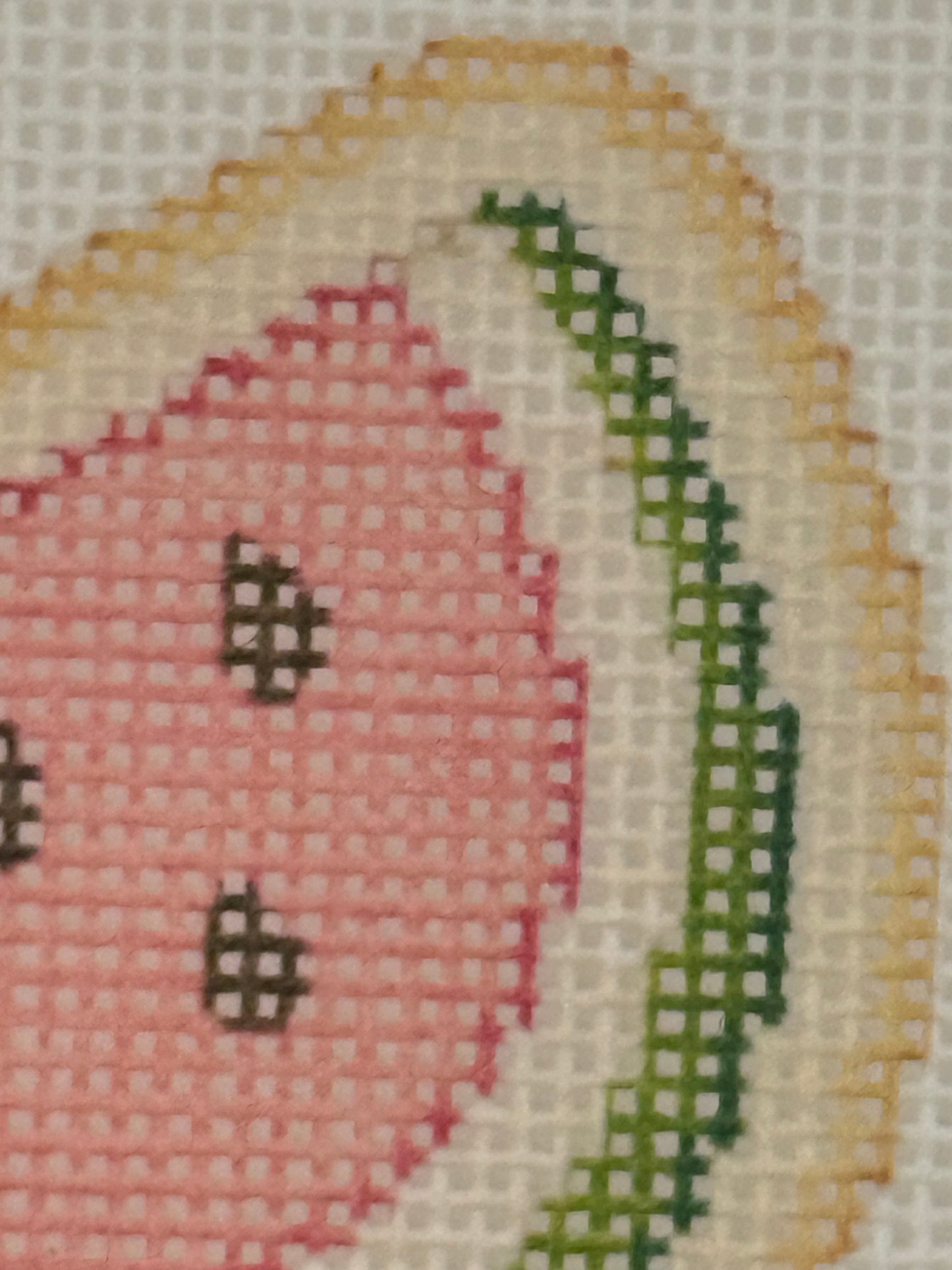 Watermellon - The Royal Icing Collection - 18 mesh - 6 x 6 - Needlepoint Canvas