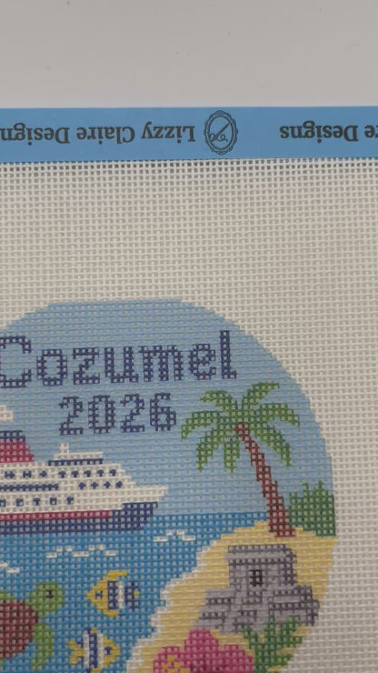 Cozumel 2026 - 18 mesh - 4 inch Round - 7 x 7 - Needlepoint Canvas